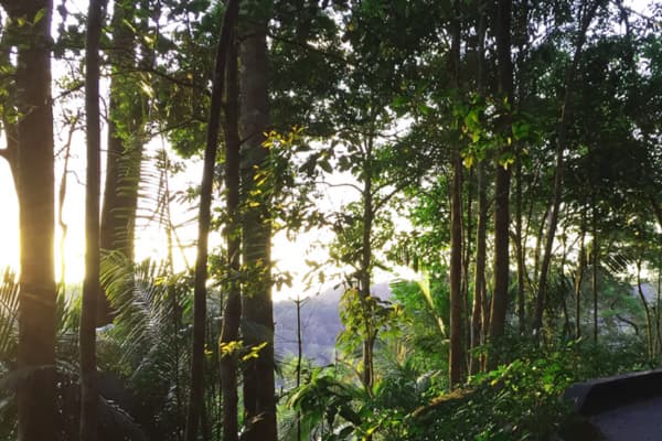 The Habitat Penang Hill